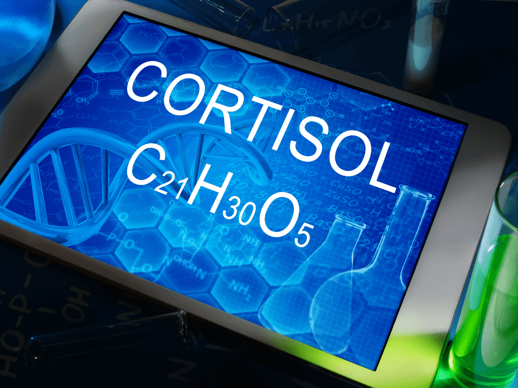 cortisol levels