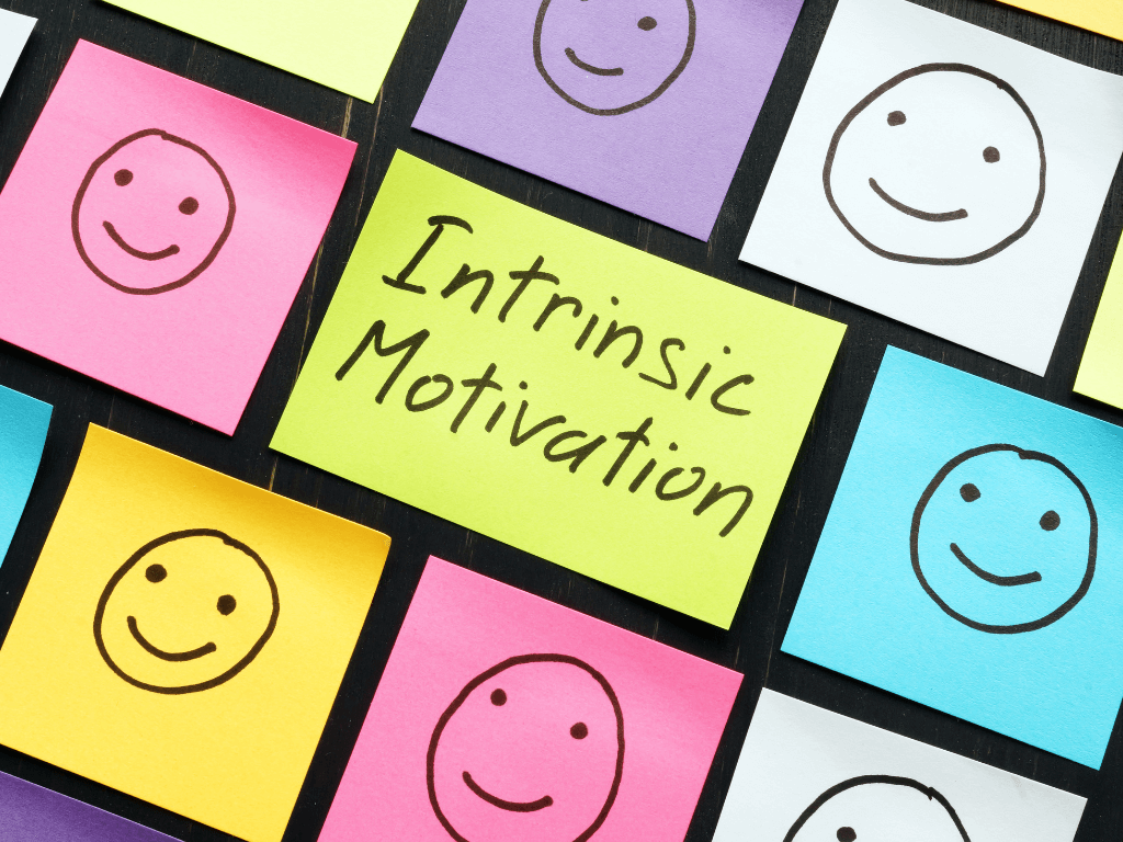 intrinsic motivation